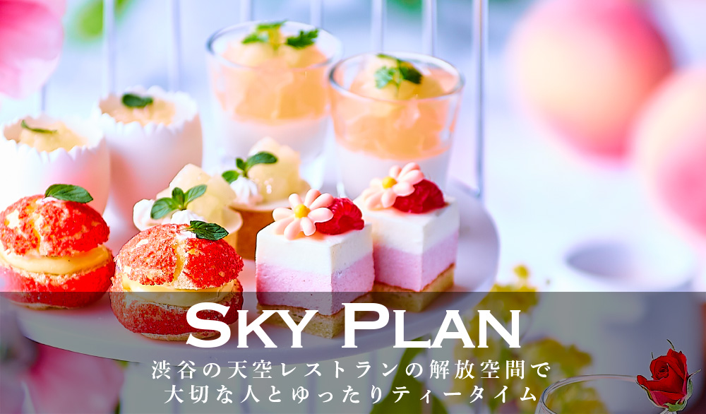 Sky Plan
